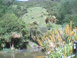 View of The Hill