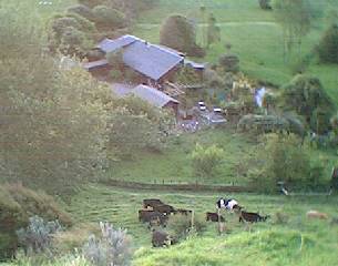 View of the house