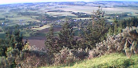 View to the west
